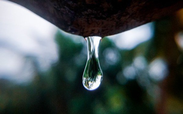Drupal As A Headless CMS For Static Sites