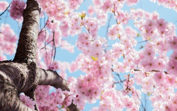 Spring Data Neo4j: How To Update An Entity